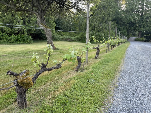 Photo from Eric Lind